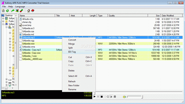 Eufony APE FLAC MP3 Converter