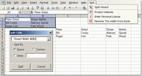 Excel Split Names & Addresses Into Multiple Cells (Columns) Software