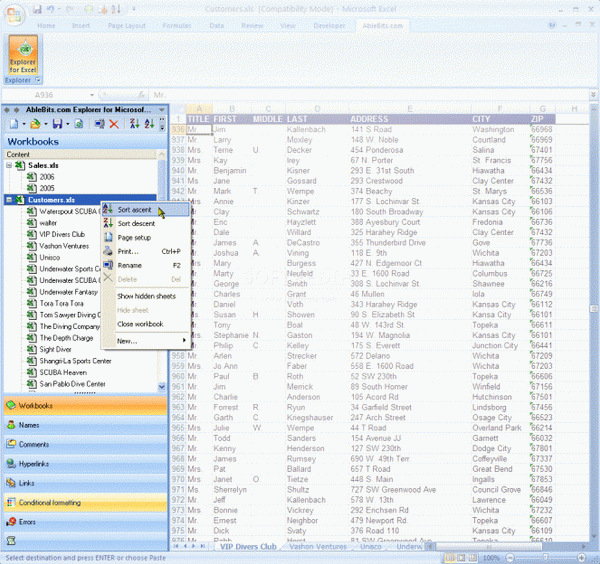 Explorer for Microsoft Excel