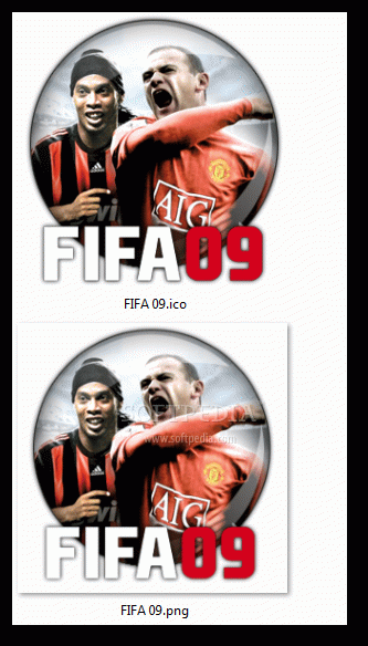 FIFA 09 Icon