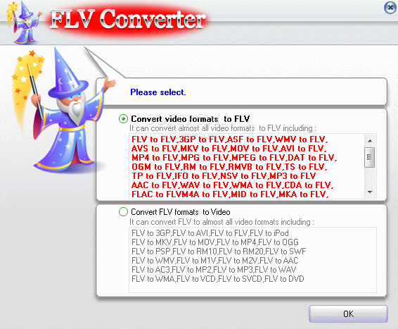 FLV Converter