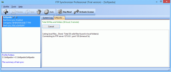 FTP Synchronizer Professional