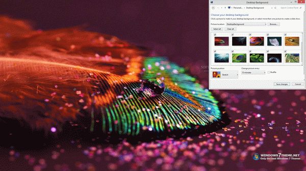 Feather Drops Windows 7 Theme