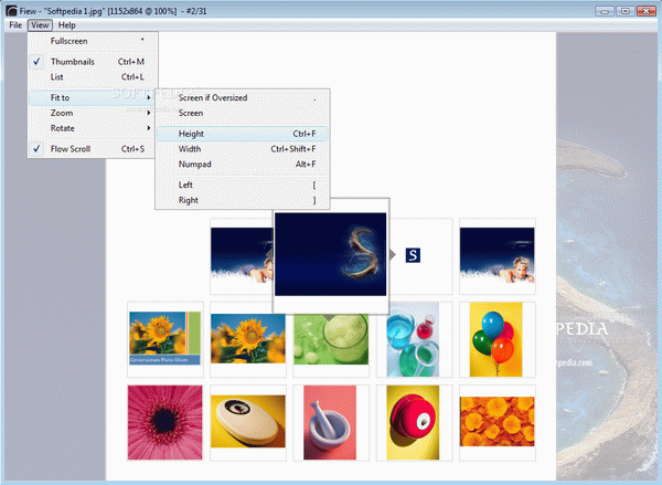 Fiew Image Viewer