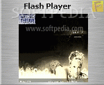 Flash Player