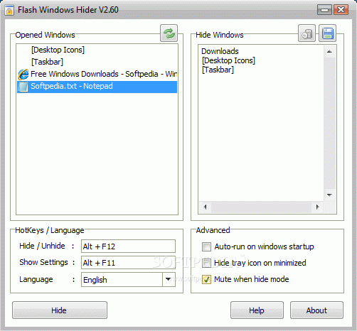 Flash Windows Hider