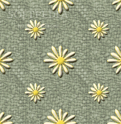 Flower Color Screensaver