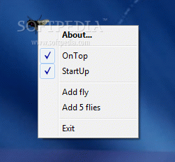 Fly on Desktop