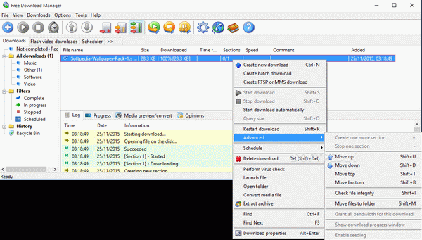 Free Download Manager Lite