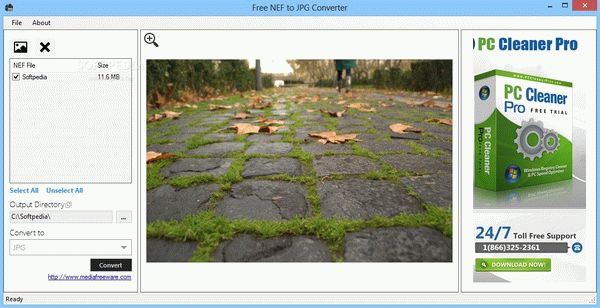 Free NEF to JPG Converter