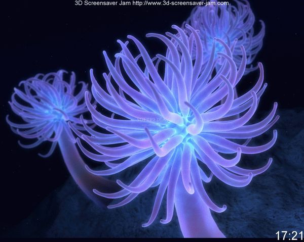 Free Underwater Screensaver