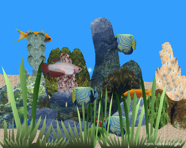 Aquarium Screensaver