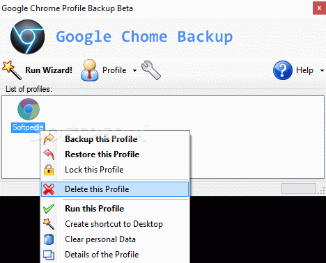 Google Chrome Backup