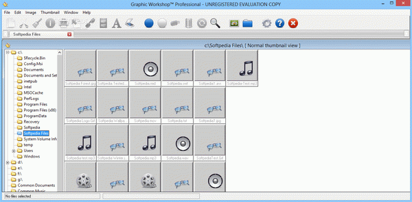 Graphic Workshop Professional
