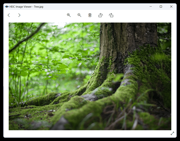 HEIC Image Viewer