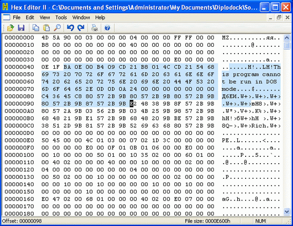 Hex Editor