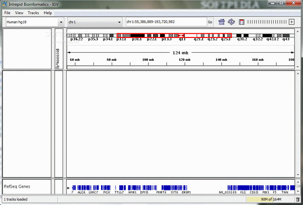 Integrative Genomics Viewer