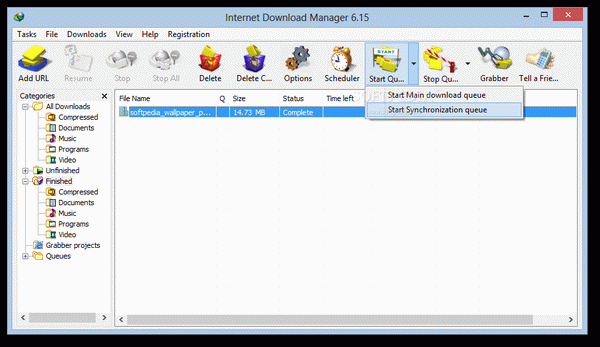 Internet Download Manager (IDM)