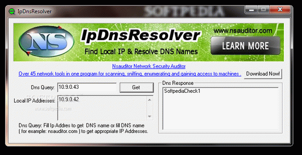 IpDnsResolver