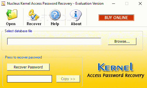 Nucleus Kernel Access Password Recovery