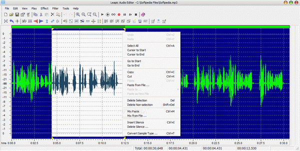 Leapic Audio Editor