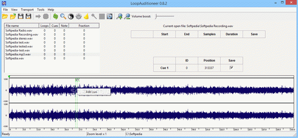 LoopAuditioneer