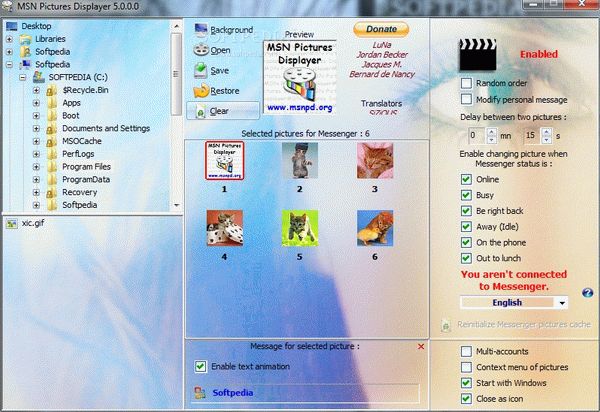 MSN Pictures Displayer