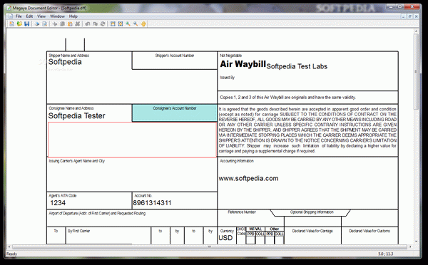 Magaya Document Editor