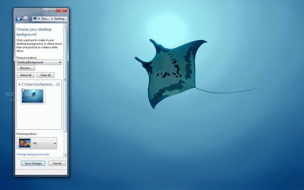 Manta Ray