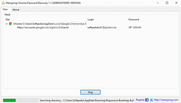 Manyprog Chrome Password Recovery