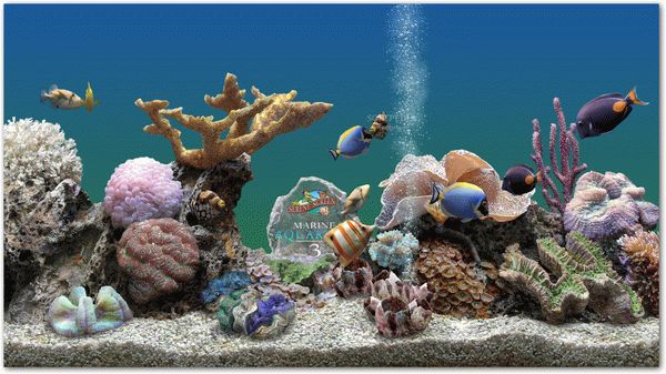 Marine Aquarium