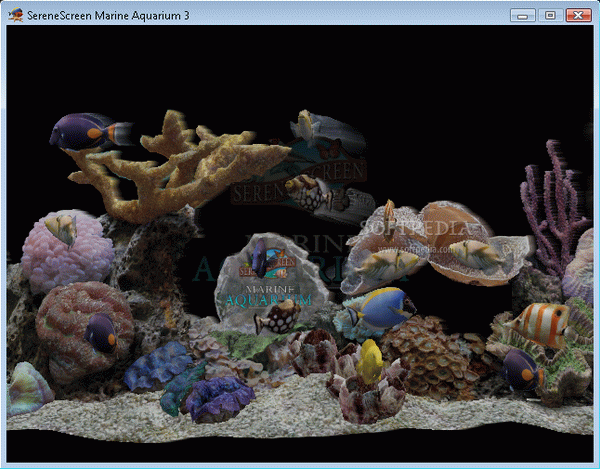 Marine Aquarium