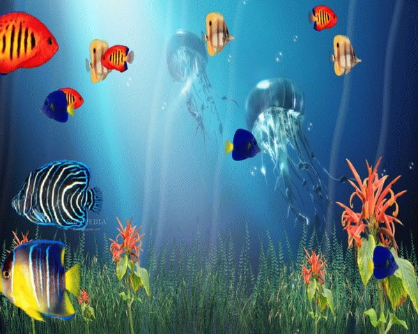 Marine Life Aquarium 3D Screensaver