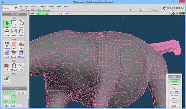 Metasequoia