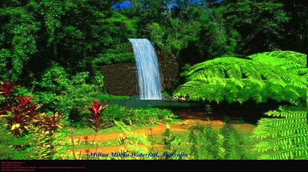 Millaa Millaa Waterfall