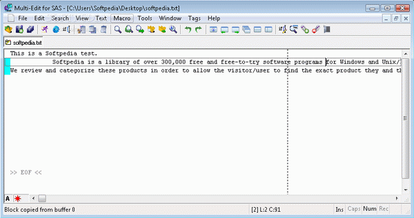 Multi-Edit Lite for SAS 2008