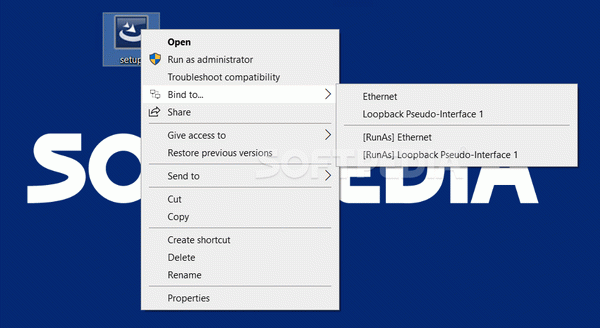 Network Adapter Selector