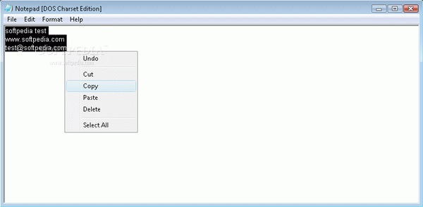 Notepad [DOS Charset Edition]