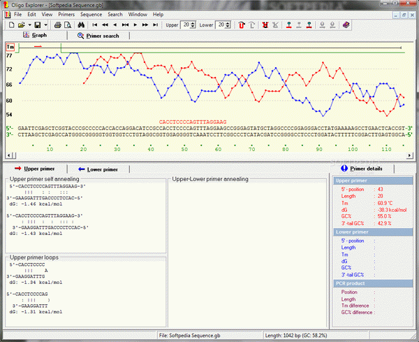 Oligo Explorer