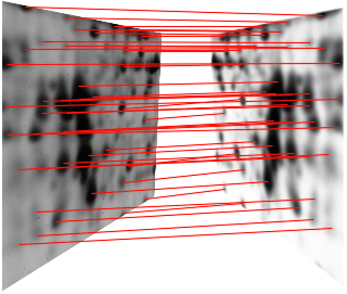 Pattern Matching for 2D Images