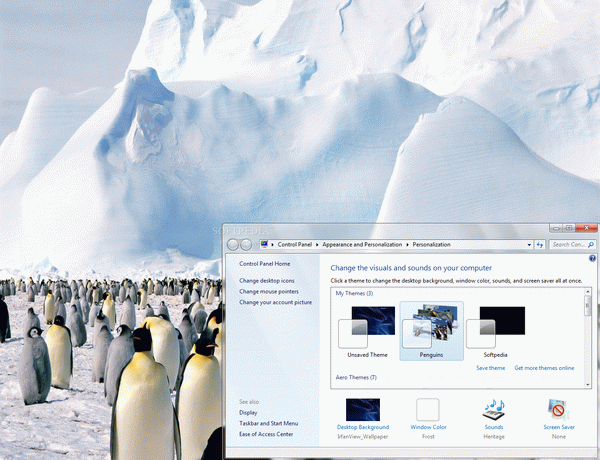 Penguins Windows 7 Theme