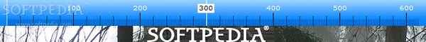 Pixel Ruler