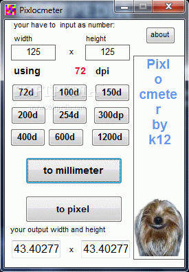 Pixlocmeter