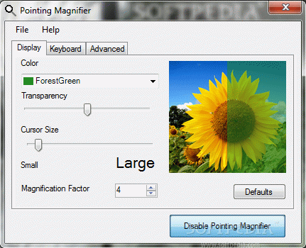 Pointing Magnifier