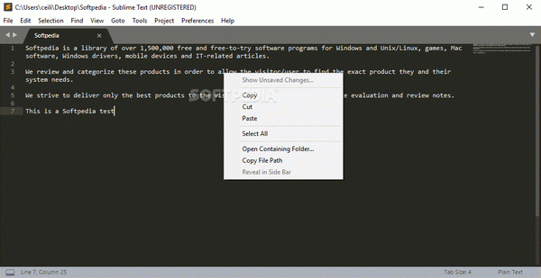 Portable Sublime Text