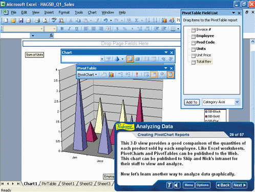 Professor Teaches Office 2003