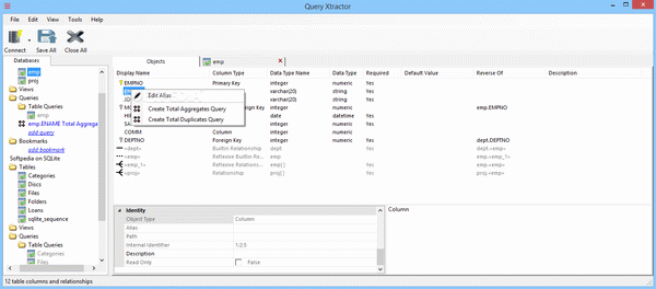 Query Xtractor