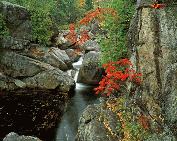 Rapid Mountain River Screensaver