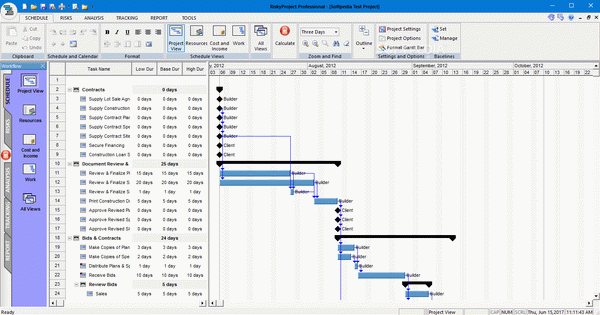 RiskyProject Professional