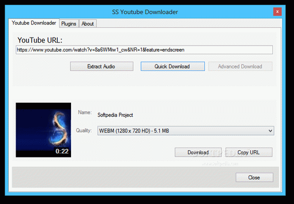 SS YouTube Downloader